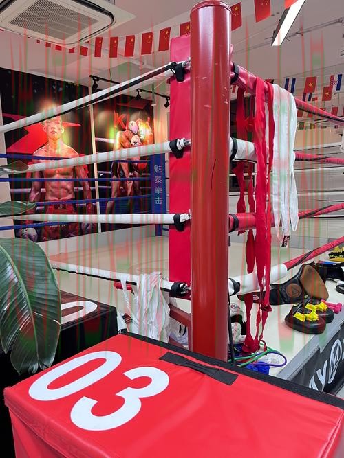 探索金年会体育综合版带来的独特体验