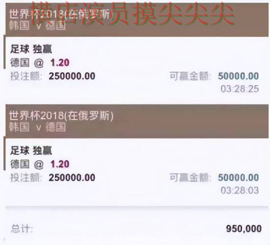 世界杯投注平台推荐解析：聚焦用户反馈与赛事直播体验 - 世界杯官方信息